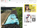 danhuaer.com