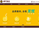 sfwl.com.cn