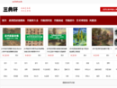 www.3zitie.cn