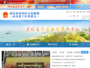 www.qingshan.gov.cn