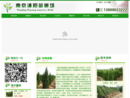 www.xuesong88.com