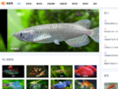 www.yuxiawang.com