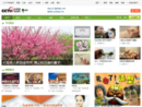 xiyou.cntv.cn